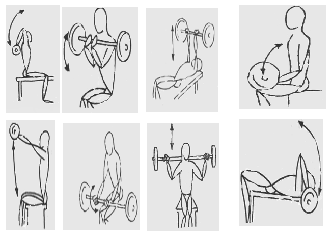Propuesta
de ejercicios generales