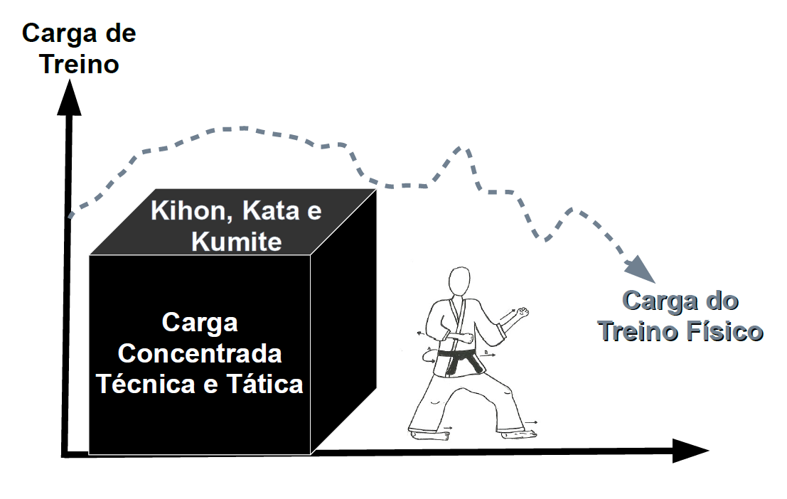 Desenho
esquem&aacute;tico da periodiza&ccedil;&atilde;o de carga concentrada t&eacute;cnica e t&aacute;tica.