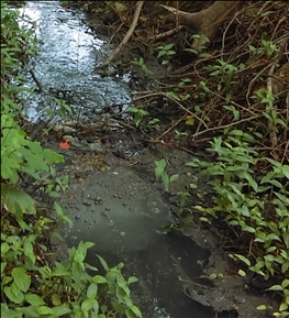 An&aacute;lisis del Sistema de tratamiento (pozo s&eacute;ptico).Yara, 2021