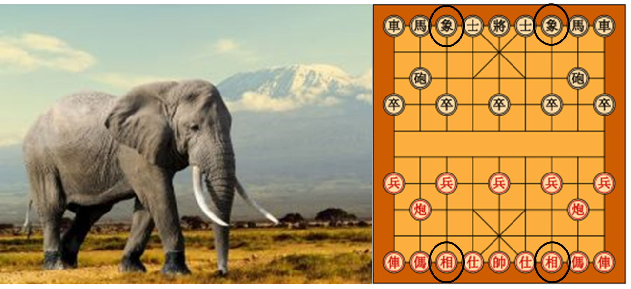 A la izquierda: mostrando
la belleza del animal. A la derecha: posici&oacute;n en el tablero de Xiangqi al
inicio