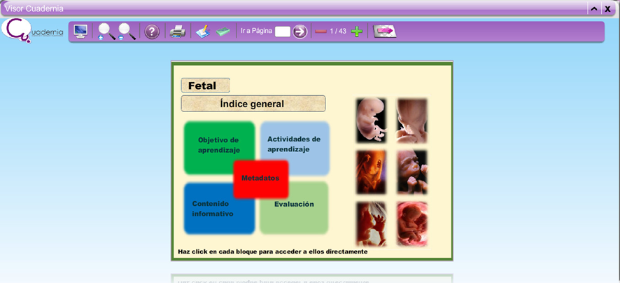 Interfaz inicial del OVA ʺFetalʺ