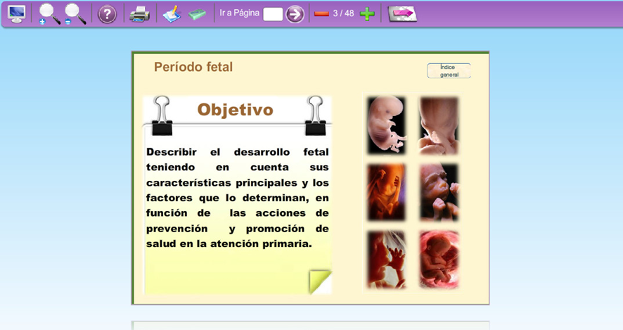 Interfaz objetivo del OVA ʺFetalʺ